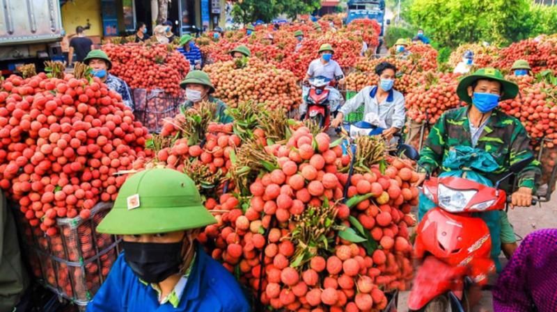 Xuất khẩu rau quả chế biến có thể đạt 1,2 tỷ USD